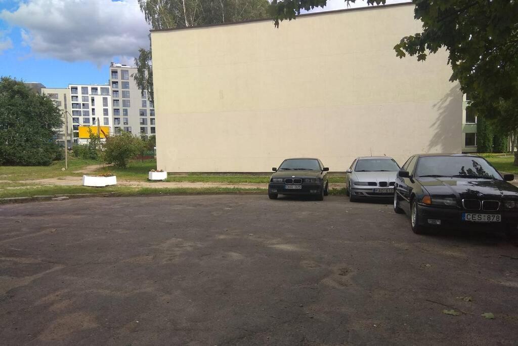Slucko Central Studio Apartment near River Vilna Exterior foto