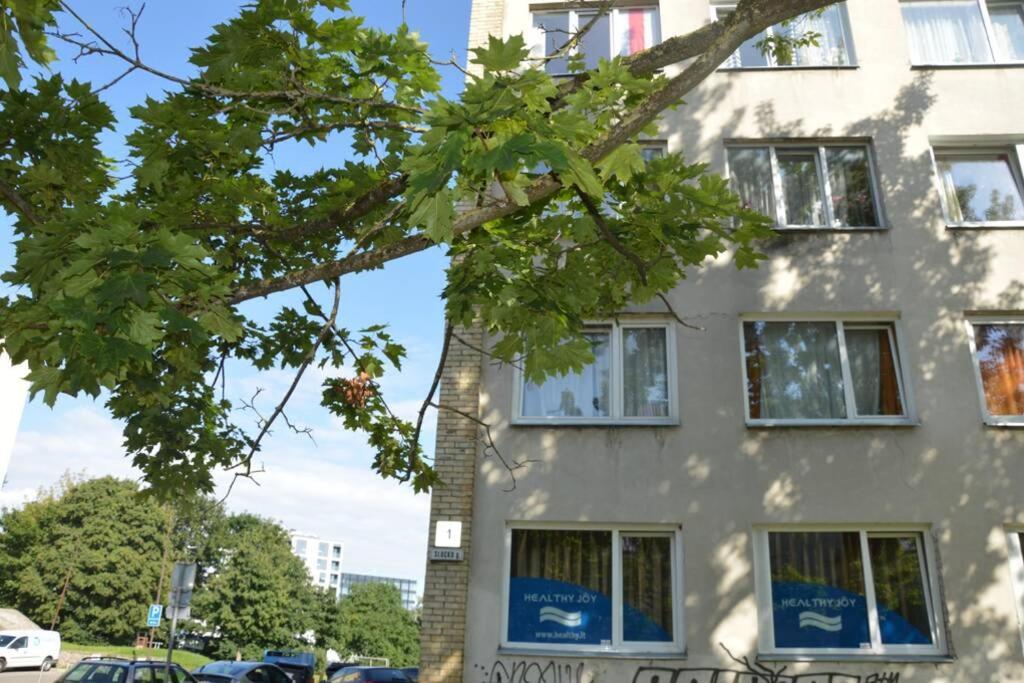 Slucko Central Studio Apartment near River Vilna Exterior foto