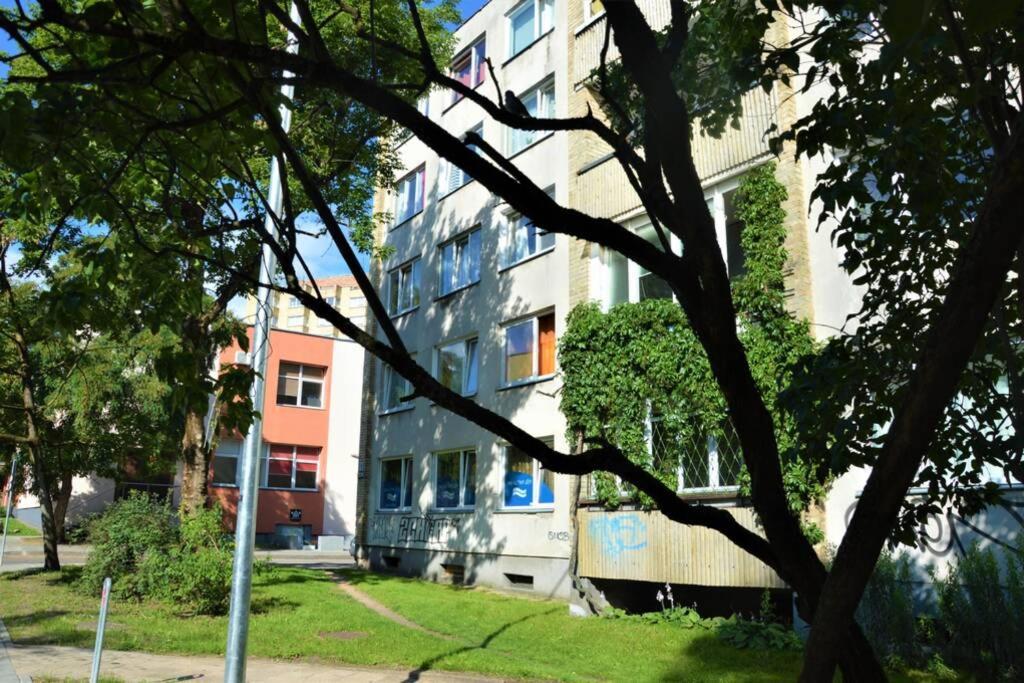 Slucko Central Studio Apartment near River Vilna Exterior foto