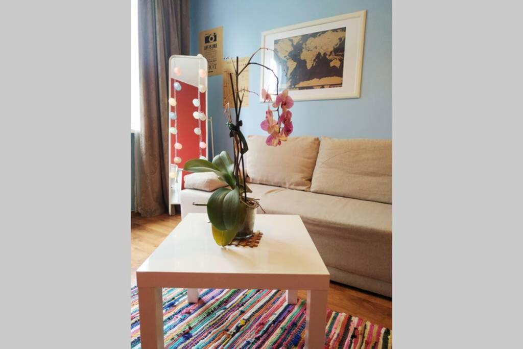 Slucko Central Studio Apartment near River Vilna Exterior foto